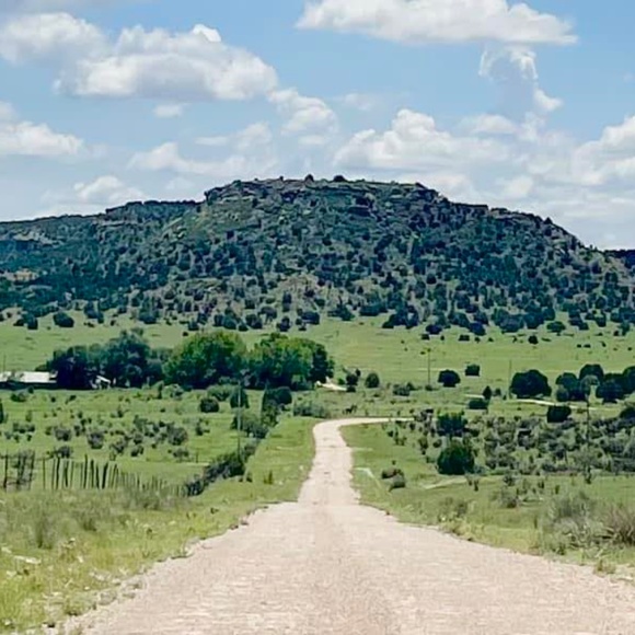 Meet your Posher, Tracy - Picture 4 of 5